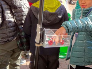 車検箱にミニ四駆を入れる子供その２