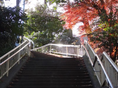 東京南青山の風景