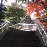 南青山の風景